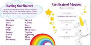 Unicorn Rescue Kit - the unicorn store