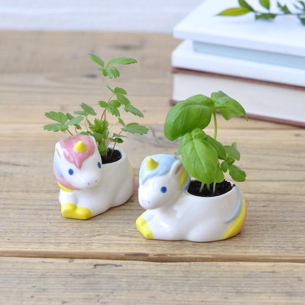 Mini Unicorn Planter & Grow Kit - the unicorn store